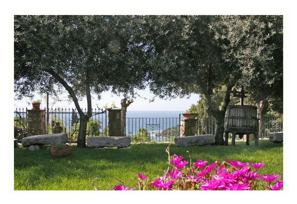 Villa Michela Tra Cielo E Mare Gaeta Habitación foto